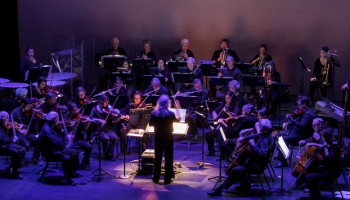 Fredericton Symphony Orchestra on stage in purple lighting