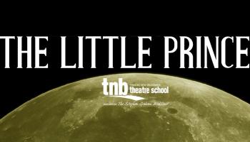 The top half of a planet with the words "THE LITTLE PRINCE" on it.