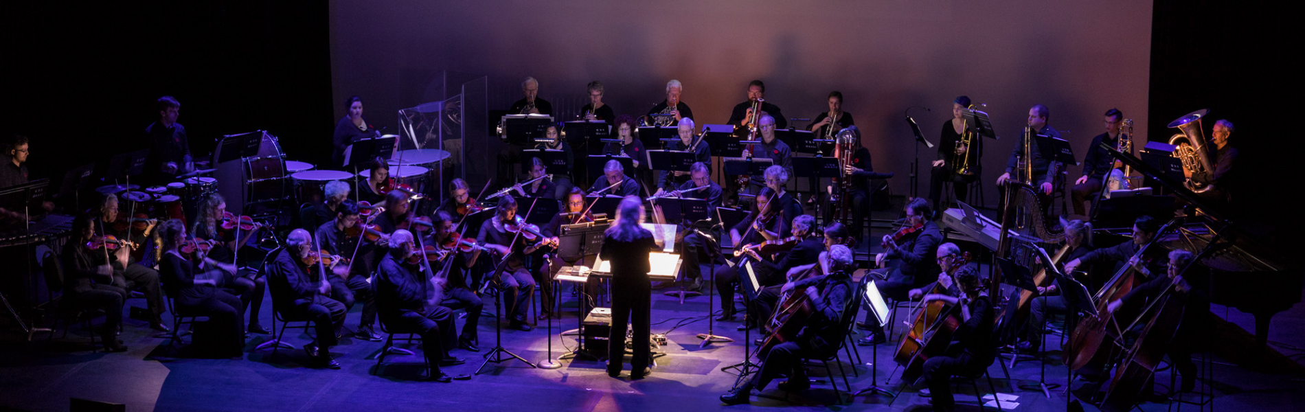 Fredericton Symphony Orchestra on stage in purple lighting