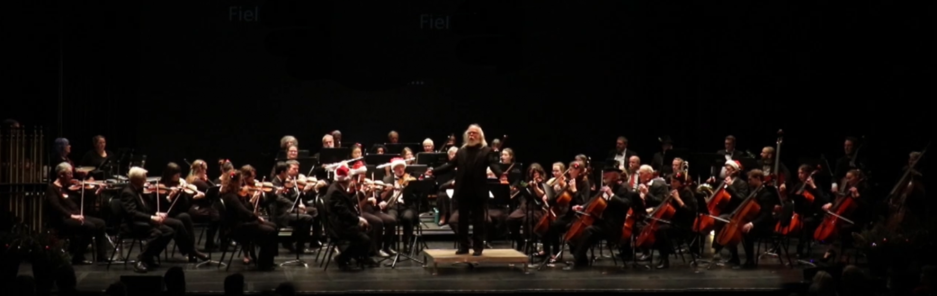 An image of the Fredericton Symphony Orchestra onstage with their instruements.