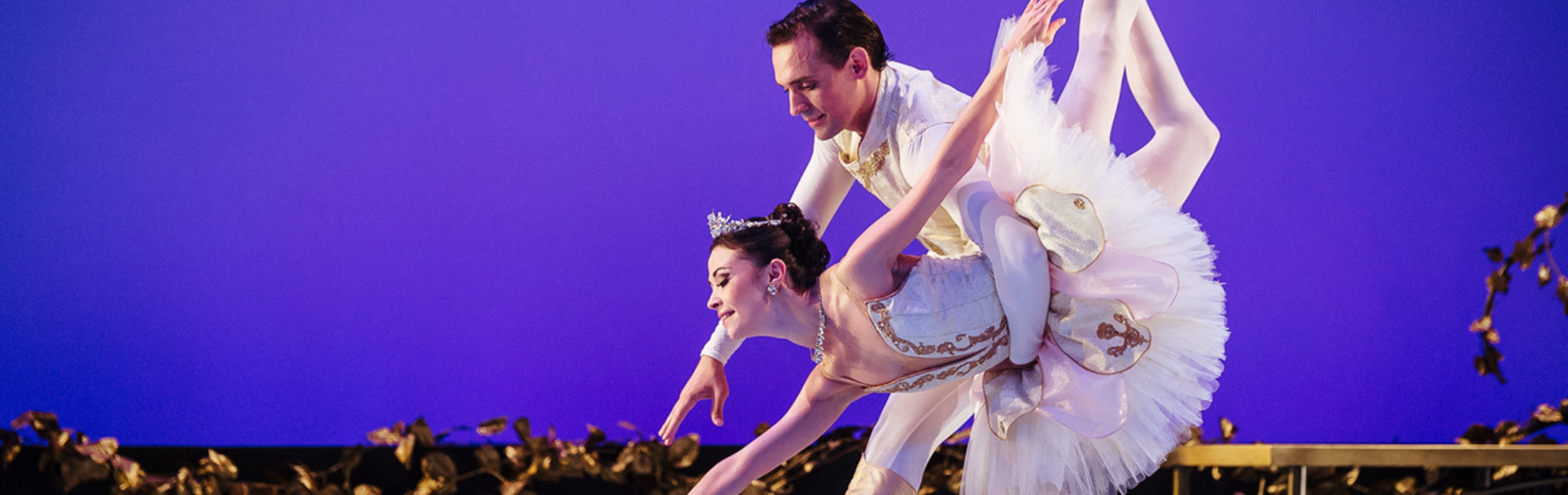 Two ballet dancers in front of a purple background, one in a pink tutu, being held forward by the other one in a suit.