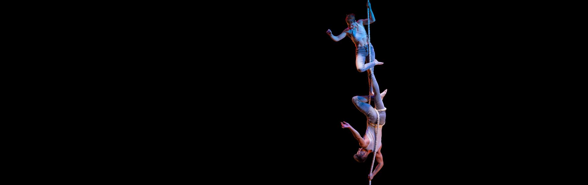 Two acrobats dangle from a rope.